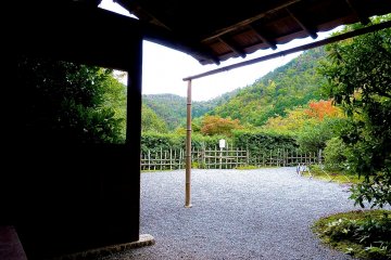 Enjoying the view from a bench