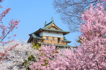 Takashima Castle in Nagano