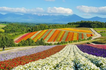 Japan's Best Destinations for Doing Less