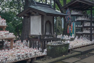 Hundreds of maneki-neko at Gotokuji