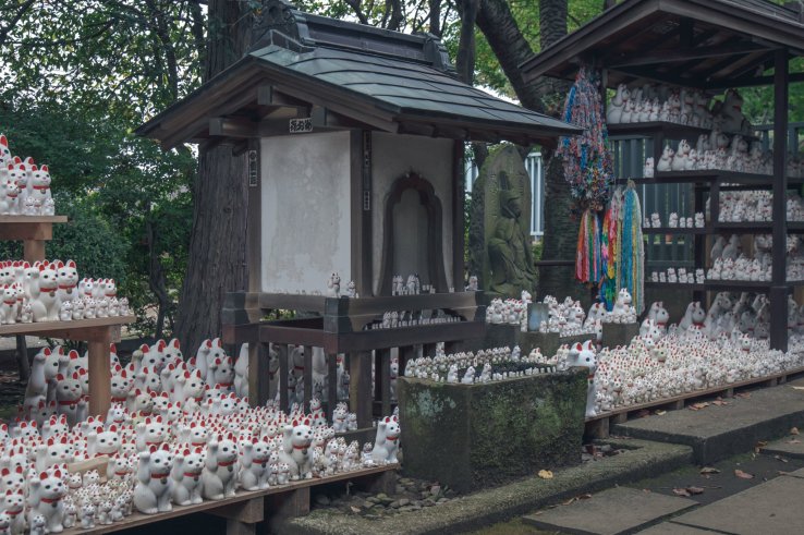 Hundreds of maneki-neko at Gotokuji