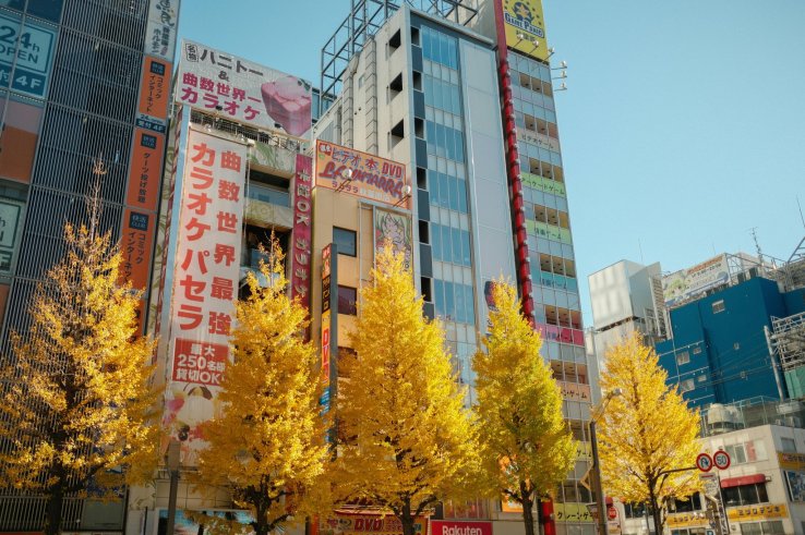Autumn in Tokyo