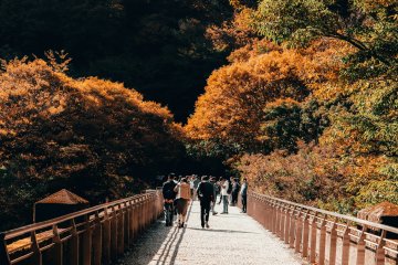 Autumn in Gunma