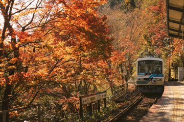 Autumn in Kyoto