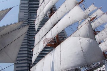 Docked just in front of Sakuragicho Station (Yes!), directly below the Landmark Tower, this beautiful schooner really brings a touch of class to the entire Minato Mirai area.