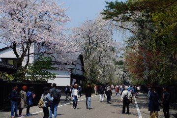 5 Alternatives to Kyoto's Hotspots in Akita