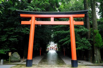 A Japanese shrine torii gate