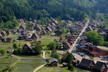 Bear Encounters Growing in Tourist Spots