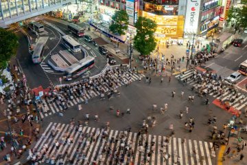 12 Family-Friendly Things to Do in Shibuya