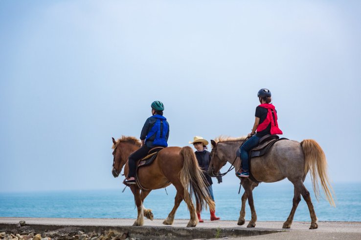 Horseback riding