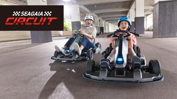 Segway Gokart PRO 2
