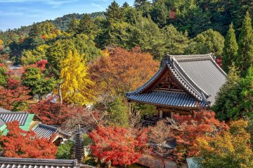 Agoda's Autumn Travel Trends for Japan in 2025