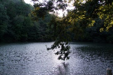 A lazy day at the South Pond