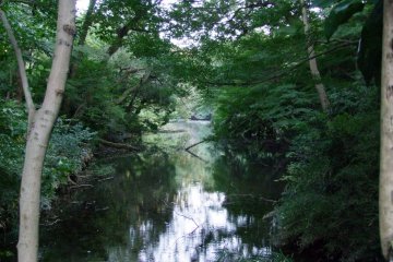 Peace and nature
