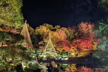 Hanahata Memorial Garden Autumn Illuminations 2025