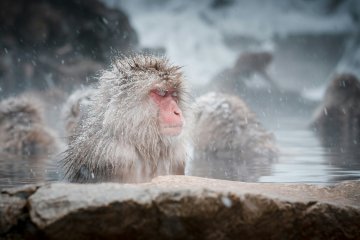 Who doesn't love an onsen break?