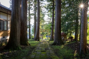Kariyasawa Shinmeigu (刈谷沢神明宮) is known for its sacred tree (goshinboku), which has stood for over 500 years.