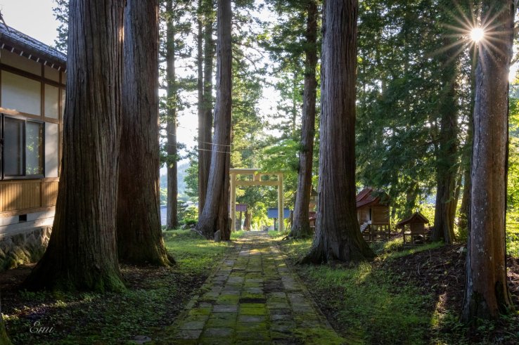 Kariyasawa Shinmeigu (刈谷沢神明宮) is known for its sacred tree (goshinboku), which has stood for over 500 years.