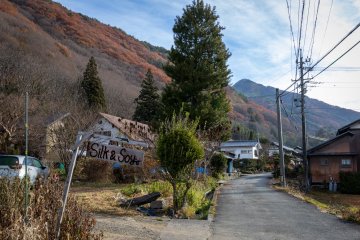 The peaceful neighborhood surrounding the guesthouse.