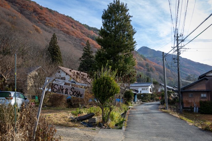 The peaceful neighborhood surrounding the guesthouse.