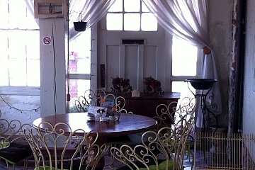 The conservatory overlooking the sea