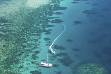 Now that you sampled a small part of the reef, experience the majesty of the real thing