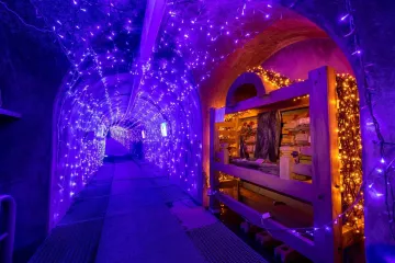 Fun Winter Illuminations in Takayama