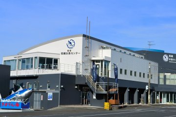 Makurazaki’s Fish Center