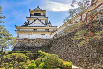 Looking up at Kochi Castle
