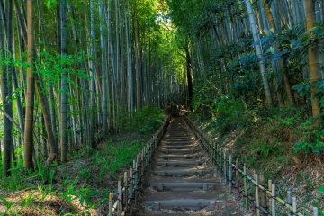 The old town of Sakura boasts picturesque nature and historic architecture.