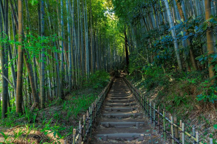 The old town of Sakura boasts picturesque nature and historic architecture.