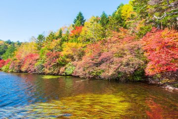 The autumn foliage at Shirakoma Pond is a must-see.
