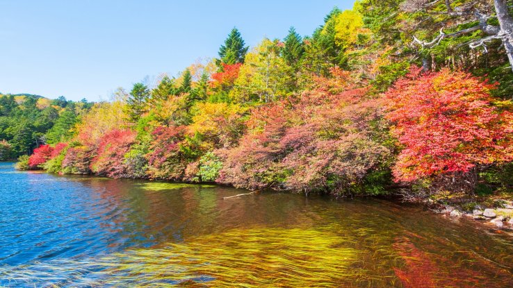 The autumn foliage at Shirakoma Pond is a must-see.