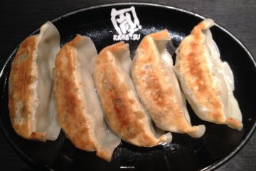 <p>Delicious gyoza</p>
