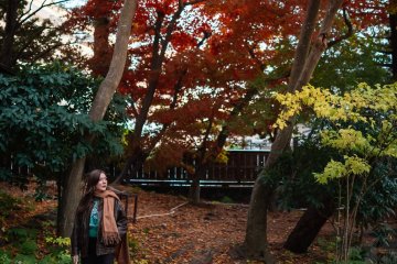 Walking through autumn foliage