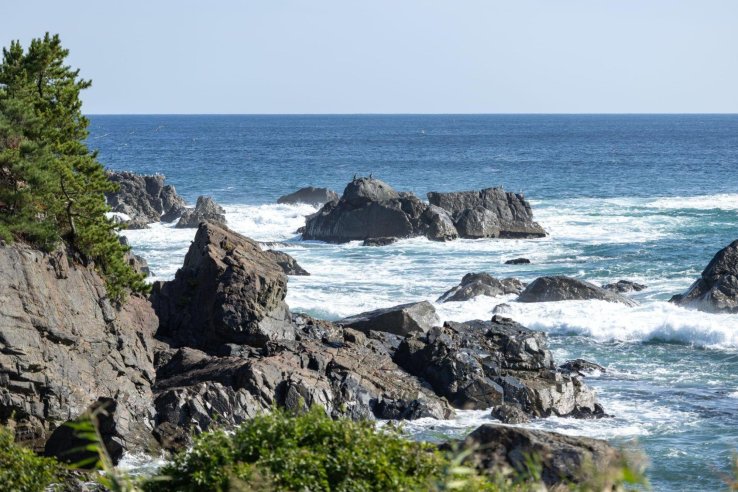 Waves and rocks at the Tanesashi Coast