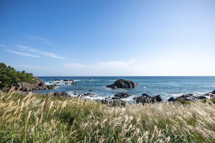 The horizon of Tanesashi Coast