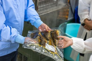 Seared pickled mackerel being shown