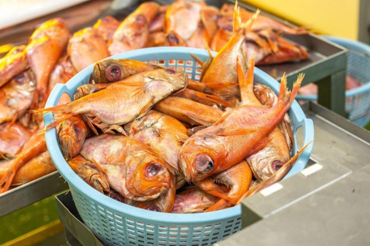 Golden-eye snapper being prepared
