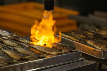 Mackerel being seared