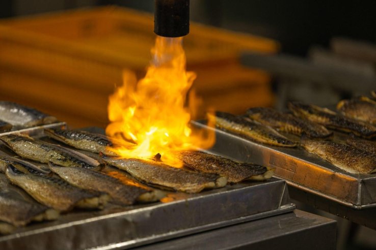 Mackerel being seared