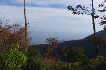 <p>Di jalan turun</p>
