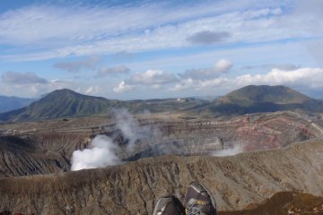Relaxing in the dangerous beauty