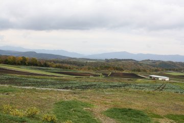 Autumn views during late October