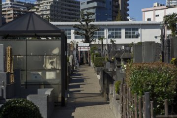 <p>The grave of Oiwa lies beyond the Torii</p>
