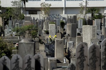 <p>The stone stands amidst a large graveyard. If you visit remember to act appropriately</p>