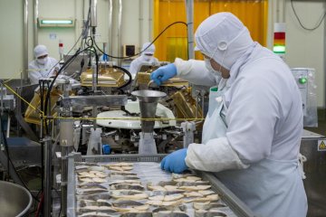 Fish being prepared at Yamatoku Hiratsuka Suisan