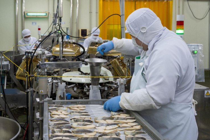 Fish being prepared at Yamatoku Hiratsuka Suisan