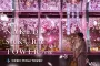 Naked Sakura Tower