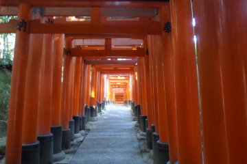 Corridors of orange meander up the hills